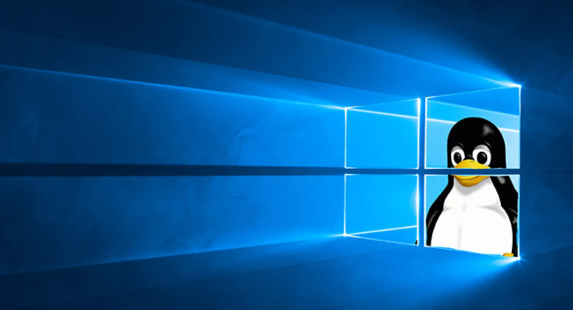 لینوکس یا ویندوز؟ راهنمای جامع انتخاب سیستم‌عامل ایده‌آل برای کاربران معمولی در سال ۲۰۲۶